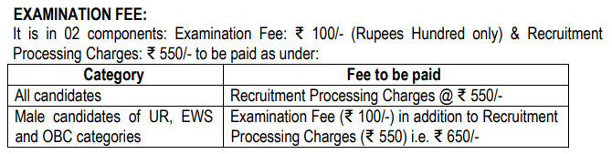 ib recruitment 2025